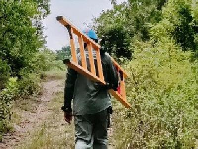 钟祥市洋梓供电所：烈日炎炎清障忙