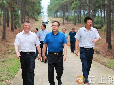 周军在大口林场开展“下基层察民情解民忧暖民心”实践活动 检查林长制工作
