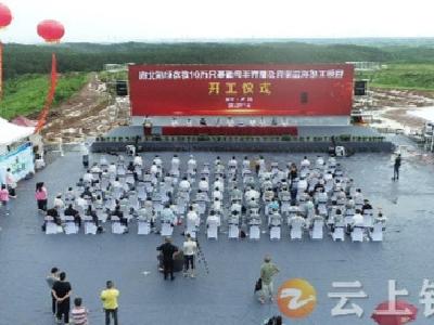 全省规模最大肉羊养殖项目在钟祥市洋梓镇开工