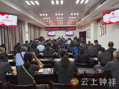 钟祥市人民法院开展”七一“专题党课活动