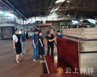 钟祥市统计局：实地走访调研 共商为企解难之策