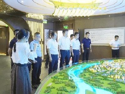 金鹏控股集团来钟祥考察投资环境