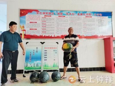 【下基层察民情解民忧暖民心】“瓜王”评比让“一下三民”走深更走心