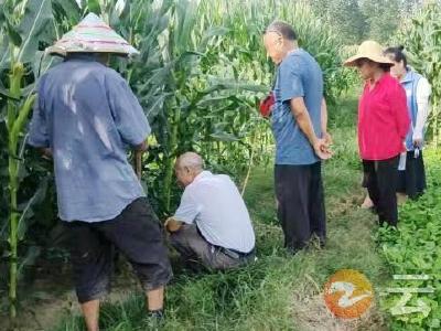 郢中街道划子口社区：邻里纠纷起矛盾  格格分清地界促和谐