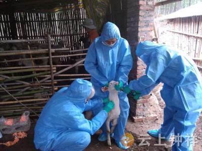 冷水镇防检工作组：主动服务基层  解决实际问题