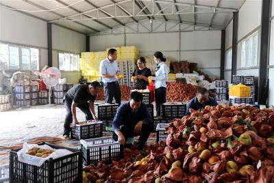 农行湖北钟祥市支行：1.2亿支持盛夏瓜果香