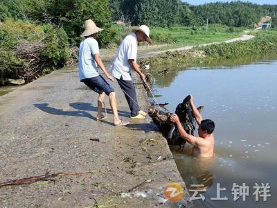 张集镇蔡岭村：山洪无情断桥路 干群努力保出行
