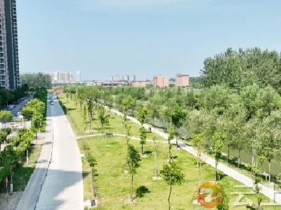 钟祥护城河：昔日“臭水沟” 今日“景观带”