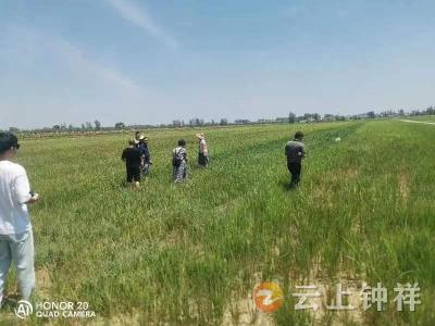 柴湖镇：抽水灌溉解民忧 干群合力保丰收