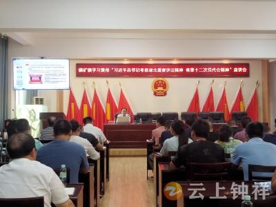 磷矿镇学习贯彻习近平总书记考察湖北重要讲话精神和省第十二次党代会精神