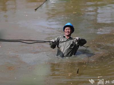 38℃下，电力工人趟着泥塘放线保供电