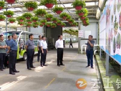 荆门市农业产业化项目拉练暨“五个一”工程推进会观摩钟祥现场