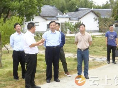 荆门市巡回指导组督导钟祥“共同缔造”工作