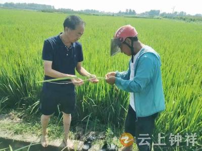 邓学洲：36年田间地头服务“三农”  为民解忧保丰收