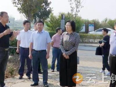 赵少莲在钟祥调研“共同缔造”活动开展情况