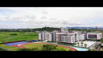 老师，您好