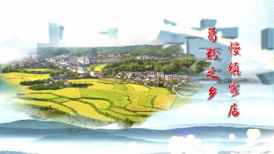 “葛粉之乡 慢镇客店”2022年9月27日至28日钟祥市首届葛根养生文化旅游节与您不见不散