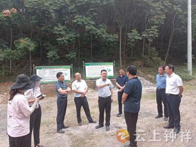 荆门市副市长雷华赴钟祥开展巡林活动