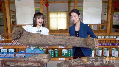 【直播预告】9月28日9时28分！钟祥市首届葛根养生文化旅游节开幕！附直播链接 