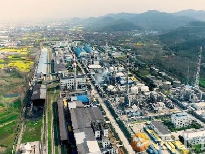 稳坐全省榜首！再进中部百强！胡集又进1位！