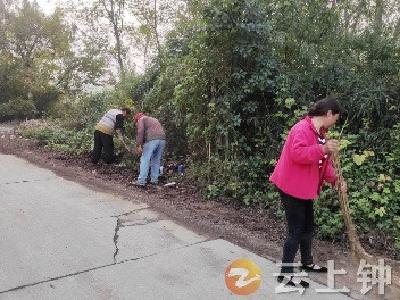 双河镇竹林村：清洁家园 快乐积分