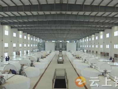 “引智借脑”助推金汉江“加速跑”