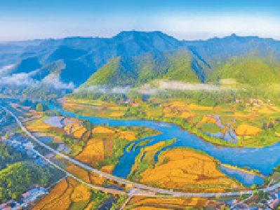 优化基层治理 助力新农村建设
