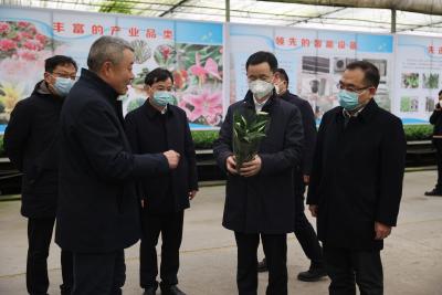 陈家伟在钟祥调研重点项目建设、“开门红”、城市规划、安全生产等工作