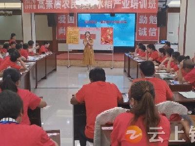 【寻访最美钟祥人】关金菊：播撒农业科技种子 浇灌科技富农沃土