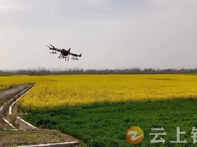 石牌镇：“一促四防”大讲堂 油菜田里授课忙