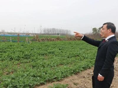 公益诉讼助力流域综合治理 汉江生态环境更美了 