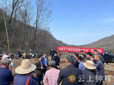 钟祥市花山寨林场校场联合为乡村振兴插上科技翅膀
