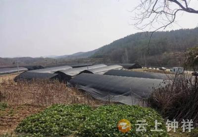 村企联建兴产业 牵手合作谋共赢