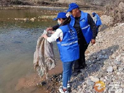 守护客店水清岸绿 “河小青”在行动