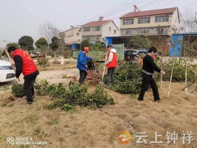 长寿镇：植树造林滋沃土 美好环境留后人