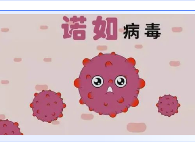 诺如病毒感染高发期，如何预防？ 