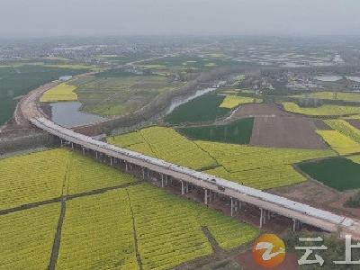 畅通经济“大动脉”！钟祥市国省干线公路建设提速加力