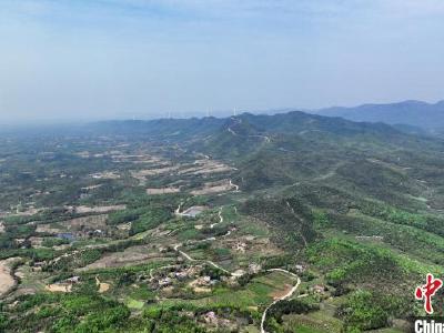 “中国葛粉之乡”湖北钟祥：小葛根长出大产业