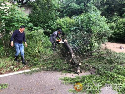 九里回族乡李家台村：格格清除“拦路虎”居民出行更通畅
