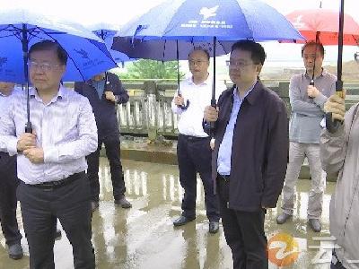 生态环境部调研钟祥浰河入汉江口国控断面水质情况