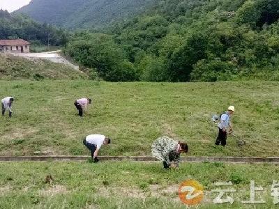 客店镇：守护青山绿水 确保安全度汛