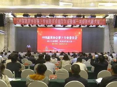 中国蔬菜协会萝卜专业委员会正式成立！ 