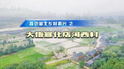 60秒看大江澎湃｜“中原突围出发地”宣化店的乡村振兴突围
