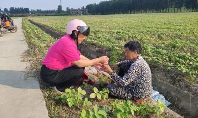 老人出门迷路 格格及时相助