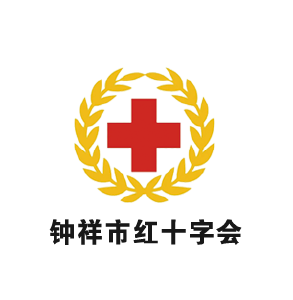 红十字会核心业务