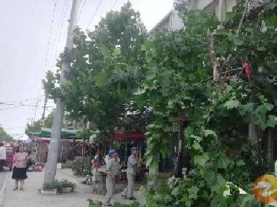 旧口镇罗集社区：网格员助力居民“剪除”安全隐患 