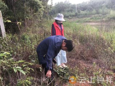 双河镇新时代文明实践所开展农业技术科学普及志愿服务活动