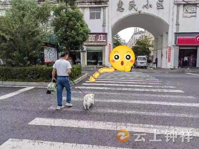 城市管理“文明红黄榜”第十九期