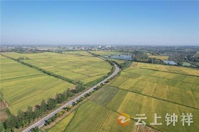 整治农村公路路域环境 助力乡村振兴