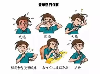 登革热防控健康提示 